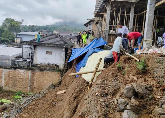Hujan Deras Picu Talud 15 Meter Longsor di Bulu Temanggung, Dua Rumah Terancam