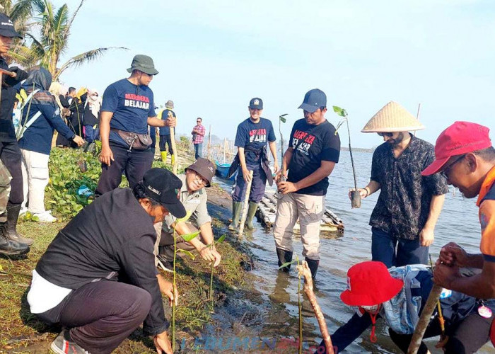 Guru Penggerak Kebumen Tanam Pohon Bakau di Kawasan Konservasi Penyu