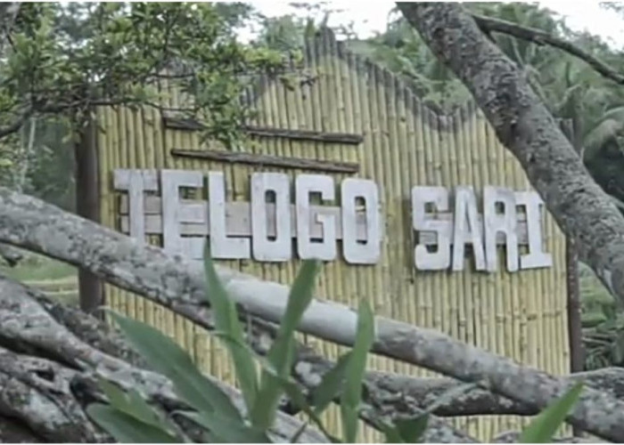 Destinasi Wisata Hidden Gem Telogo Sari Grabag, Anugerah Kesuburan dan Kesejahteraan Masyarakat Citrosono
