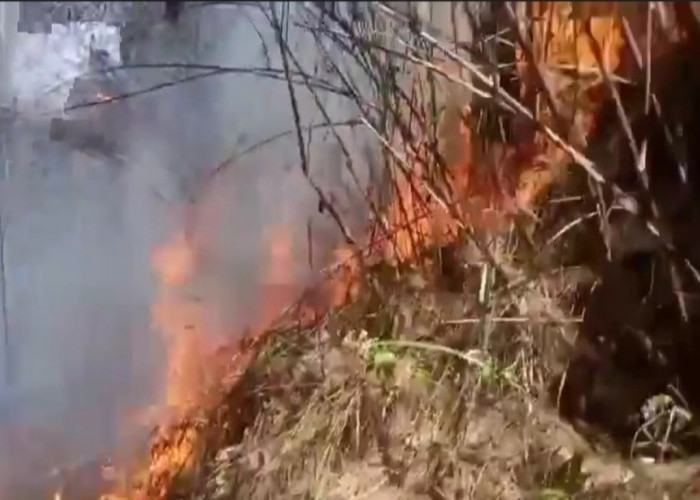 BREAKING NEWS! Kebakaran Hutan di Temanggung Berhasil Dipadamkan