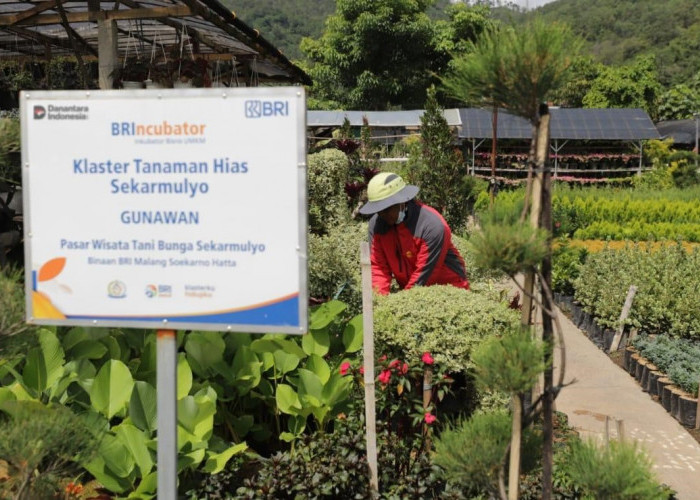 Perkuat Ekonomi Kerakyatan, BRI Berdayakan 41 ribu Klaster Usaha melalui Pembiayaan dan Literasi Keuangan