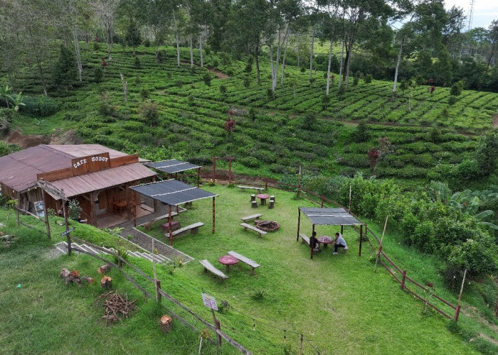 Kampung Koboi Tugu Selatan, Wujud Transformasi Desa Berbasis Potensi Lokal dalam Program Desa BRILiaN