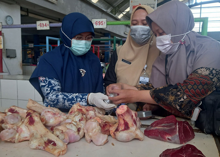 Petugas Temukan Kiloan Daging Busuk Dijual di Pasar Rejowinangun