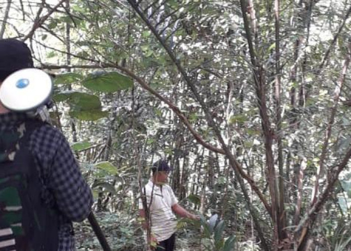 33 Bidang Tanah Milik Penolak Tambang di Desa Wadas Rampung Diukur, Target Pembebasan Kurang 9 Bidang