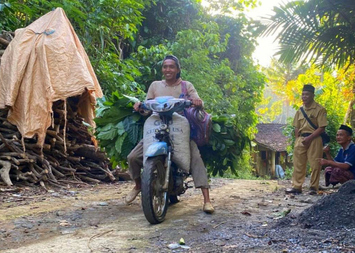 Kisah Pilu Dusun Jumbleng Temanggung, Pemukiman Lenyap Usai Kelongsoran
