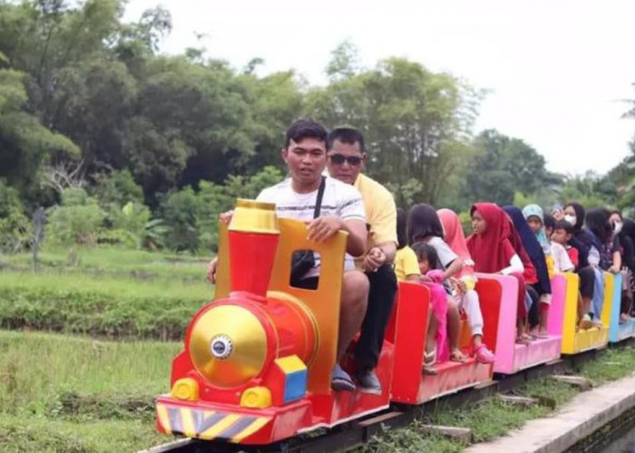 Serunya Melihat Mina Padi Dengan Naik Kereta Mini Di Desa Wisata Cibuk Kidul Sleman!