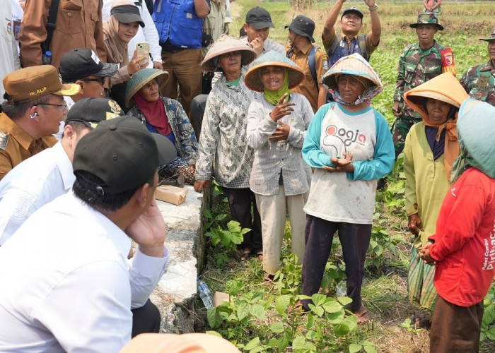 Mentan Amran Siapkan Aturan Baru agar Buruh Tani Bisa Dapat Alsintan