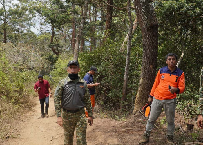 Dandim Temanggung Tinjau Kebakaran Gunung Sumbing, Pastikan Kebutuhan Relawan Terpenuhi