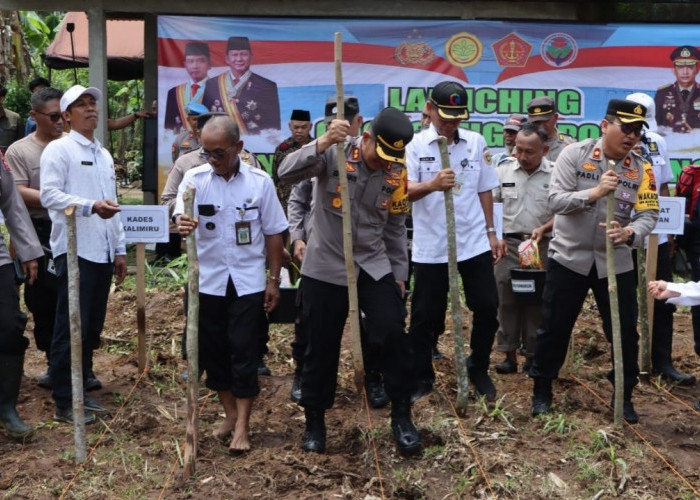 Polres Purworejo Gerakkan Tanam Jagung di Sucenjurutengah