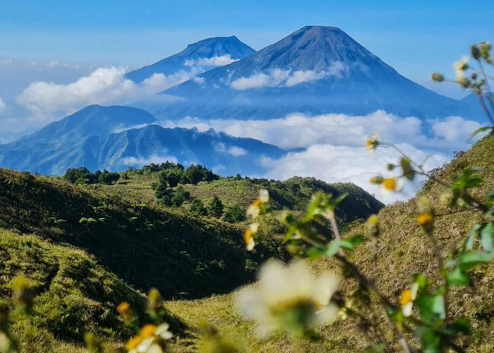 Puncak Gunung Prau @episimarmata