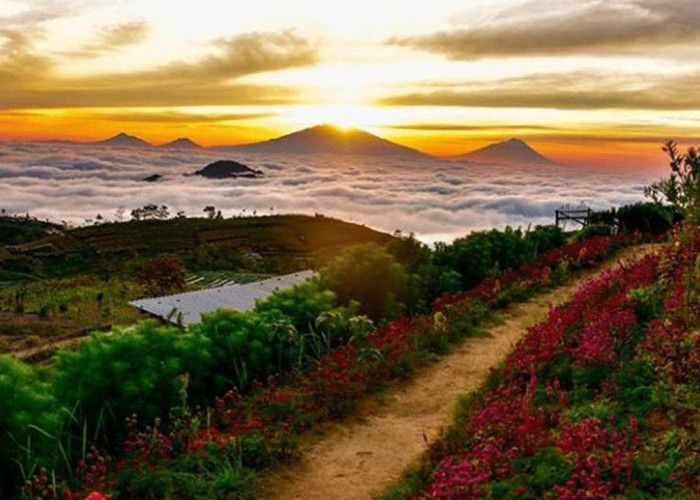 10 Wisata Magelang yang Cocok Buat Slowcation Awal Tahun 2024