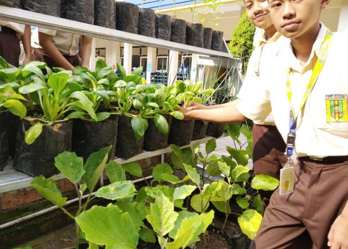 SMP Mutual Kenalkan Wawasan Lingkungan, Melalui Program Urban Farming