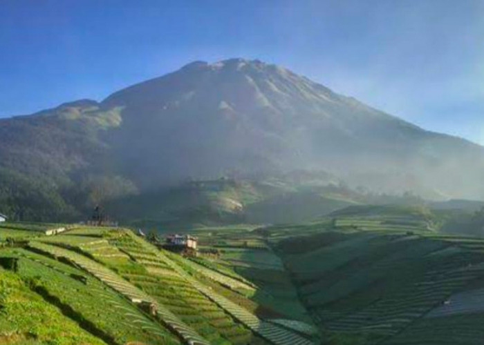 Eksplorasi Keindahan Alam Magelang, Wisata Terasering Sitegong 