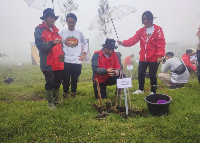 Hijaukan Kawasan Dieng, GeoDipa dan PII Tanam 15 ribu Pohon