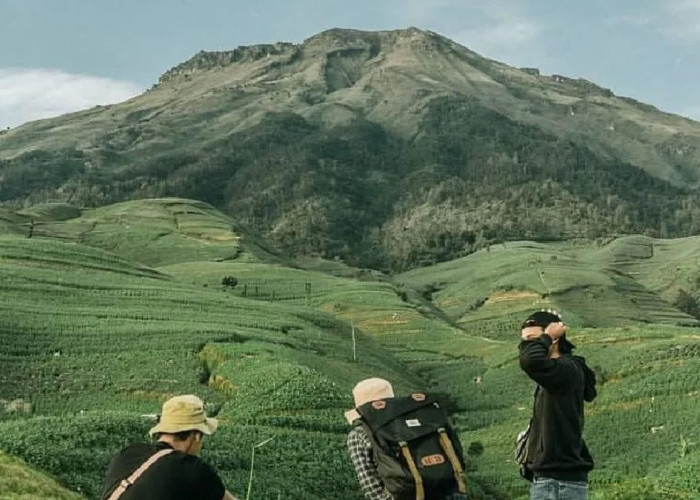 Surga Tersembunyi di Jalur Glapansari Temanggung, View Gunung Sumbing yang Menakjubkan