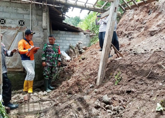 Hujan Deras di Temanggung, Akibatkan Tebing di Sejumlah Kecamatan Longsor