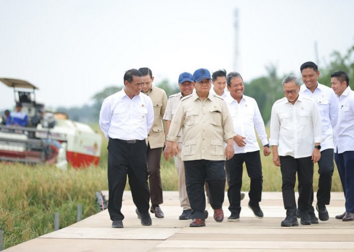 Mentan Amran: Swasembada Pangan Jadi Kinerja Terbaik Kabinet Merah Putih, Berkat Gagasan Presiden dan Petani