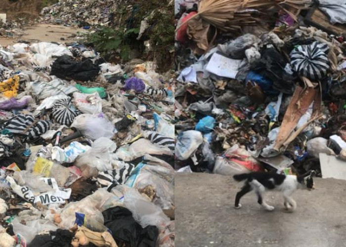 Bau Sampah TPSA Mertoyudan Hingga ke Lingkungan Masyarakat dan Sekolah