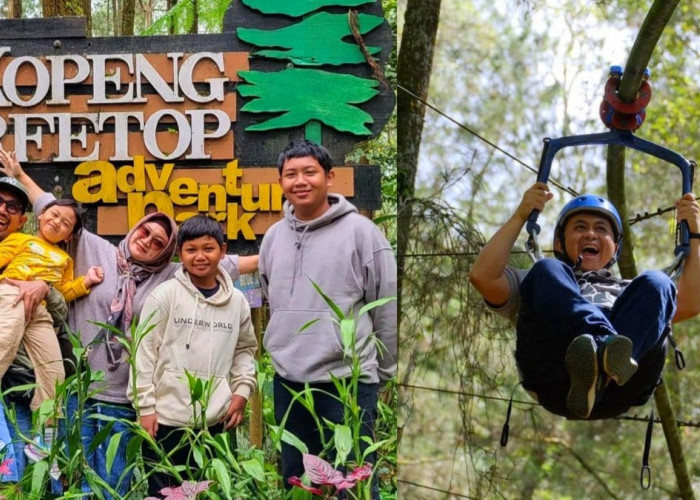 Mau Wisata Keluarga ? 4 Wahana Permainan di Kopeng Treetop Adventure Park Semarang Ini Dijamin Seru