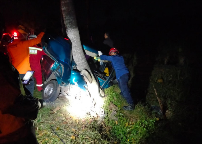 Mobil Tabrak Pohon Kelapa di Sawangan, Pengemudi Terjepit