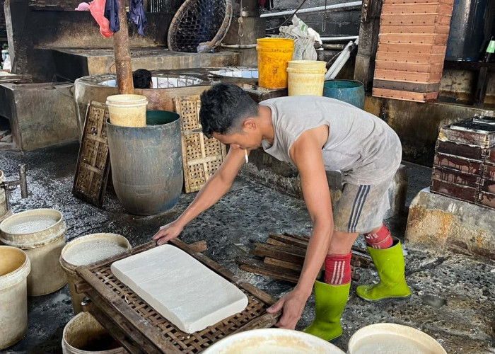 Harga Kedelai Naik, Pabrik Tahu di Tegalrejo Magelang Bertahan Tanpa PHK