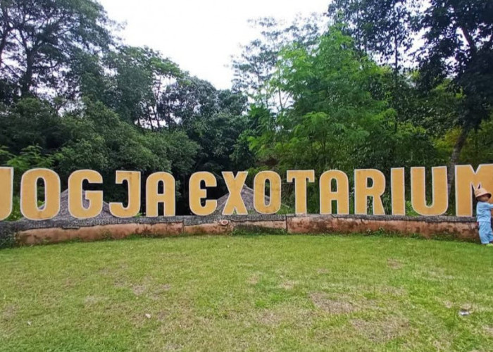 Mini Zoo Jogja Exotarium, Wisata Edukatif Cocok Untuk Si Kecil