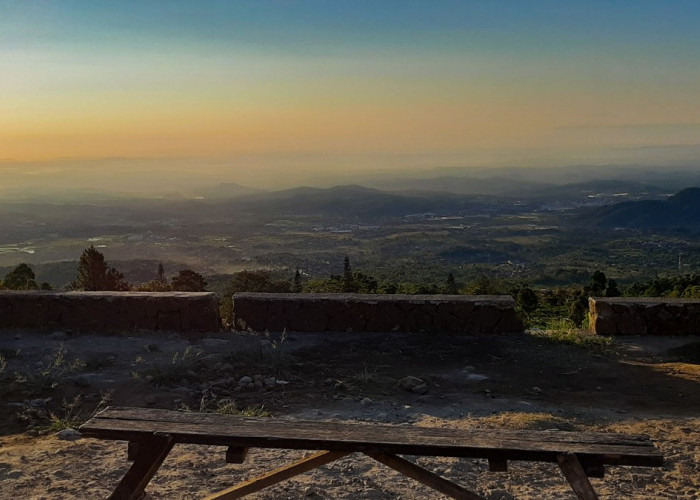 Pondok kopi Umbul Sido Mukti