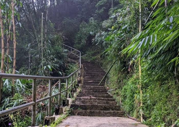 akses jalan menuju curug silawe