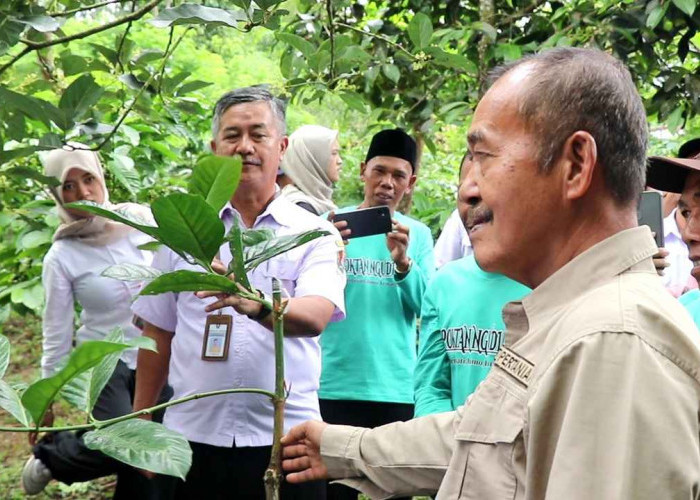Bupati Kepahiang Belajar Budidaya Kopi ke Temanggung, Tertarik Terapkan Sistem Petik Merah