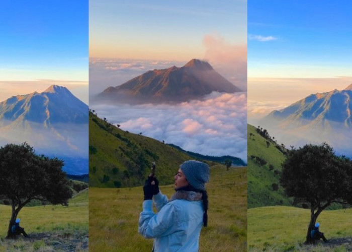 Fakta Puncak Gunung Merbabu Pemandangan Memesona dan Mitos yang Masih Dipercaya
