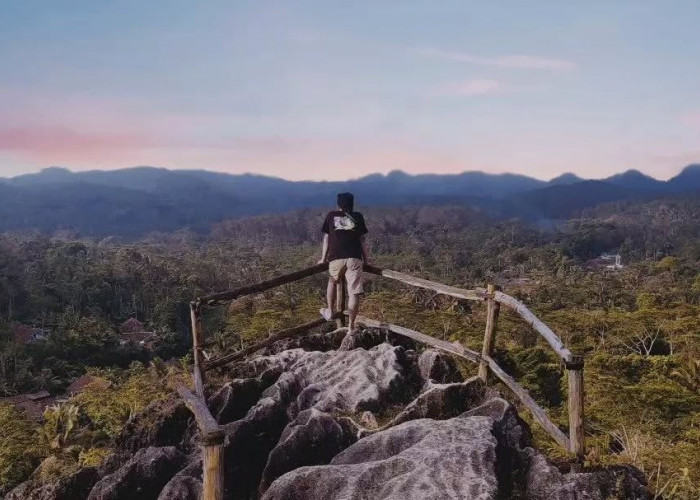 Watu Tumpang di Hutan Pinus Kalilo Purworejo, Tempat Pertapaan yang jadi Daya Tarik Tambahan