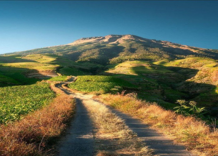 Glapansari Hidden Gem di Temanggung! Indahnya View yang Jarang Diketahui Orang