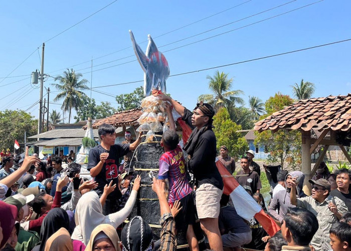 Bukan Sayur, Ratusan Warga Rebutan Gunungan Ikan Koi di Kirab Budaya Desa Ngrajek Magelang