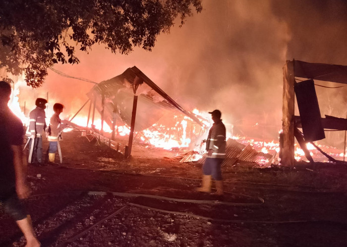 Kandang Ayam di Salam Magelang Habis Dilalap Si Jago Merah