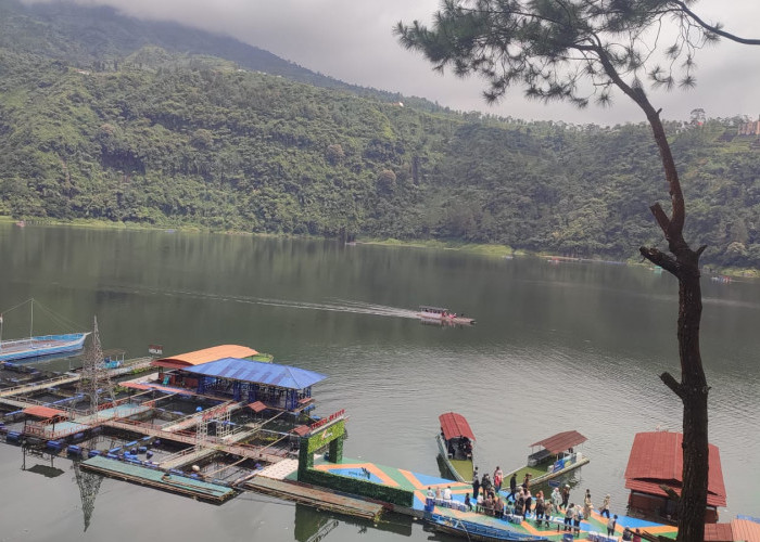 Kunjungan Wisata Nataru di Wonosobo Turun, Telaga Menjer Justru Naik 12 Persen