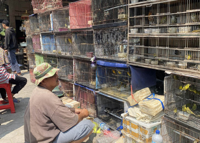 Pedagang Burung Pasar Pahing Magelang Sepi Pembeli akibat Tren Cuci Mata
