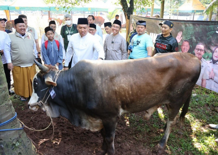 Wamentan Sudaryono: Ketersediaan Hewan Kurban Nasional Surplus, Pasokan Aman