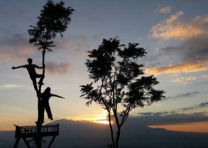 Yuk Main ke Punthuk Sukmojoyo, Wisata Melihat Sunrise yang Memukau Dekat Candi Borobudur 