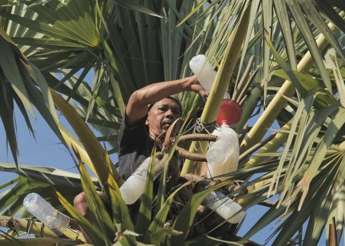  Desa Hendrosari Bangkit: Pembeli Datang, UMKM Tumbuh, Ekonomi Melaju Berkat Pemberdayaan Desa BRILian