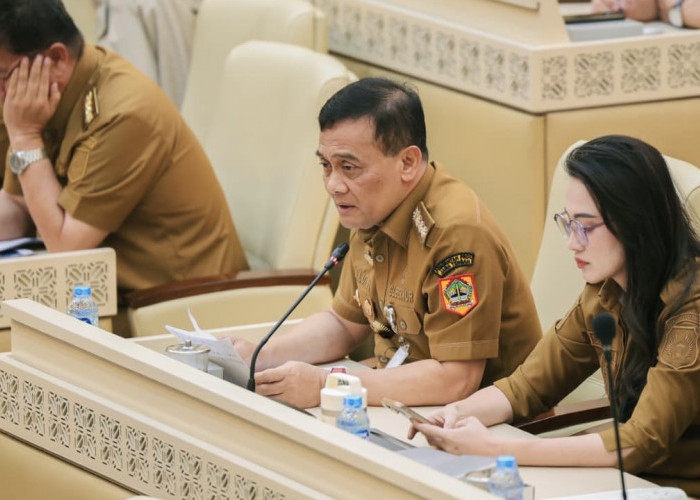 Pertahankan Lahan Sawah, Luthfi Desak Pusat Beri Insentif dan Pangkas Izin Industri