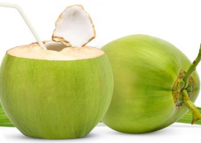 Air Kelapa Hijau