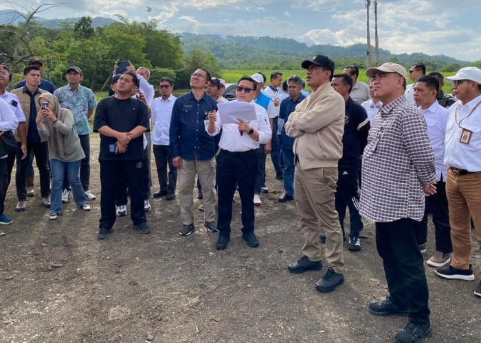 Mentan Amran: Hilirisasi Ayam Terintegrasi di Bone Untungkan Peternak, Ekonomi Daerah Tumbuh