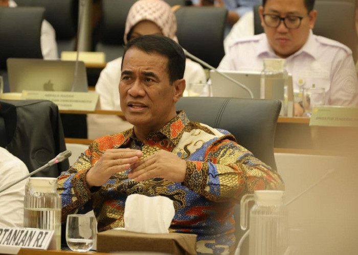 Kementan Siapkan Rp1,49 T dan Ajukan Tambahan Rp5,1 T untuk Pulihkan Pertanian Sumatera Pasca Bencana