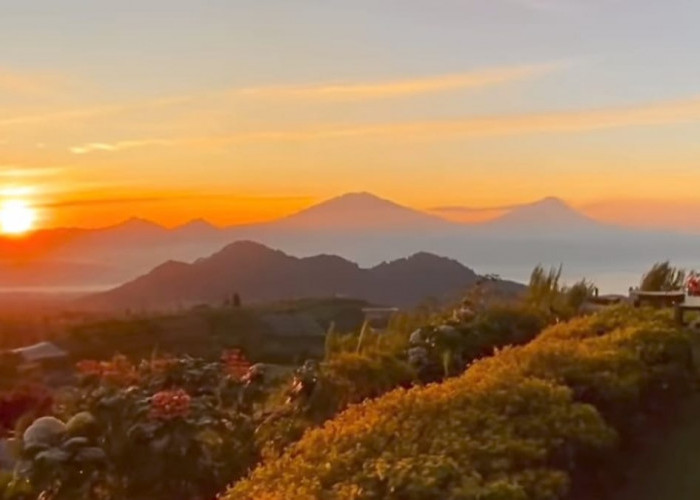 Indahnya Pesona Silancur Highland, Spot Golden Sunrise yang Ada di Magelang