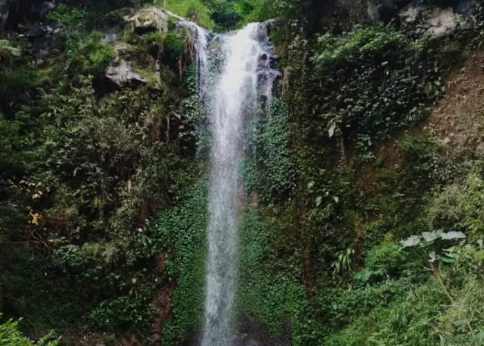 Pesona Curug Delimas Girimulyo, Wisata dengan Kesegaran Air Terjun yang Recommended Dikunjungi