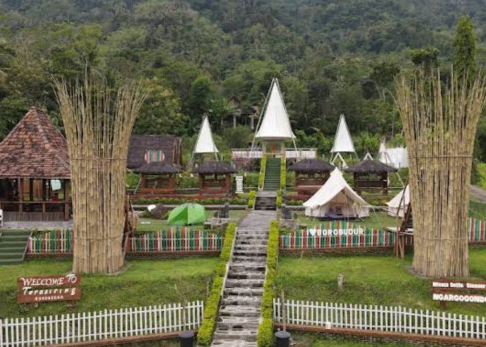 Glamour Camping Terasering Borobudur