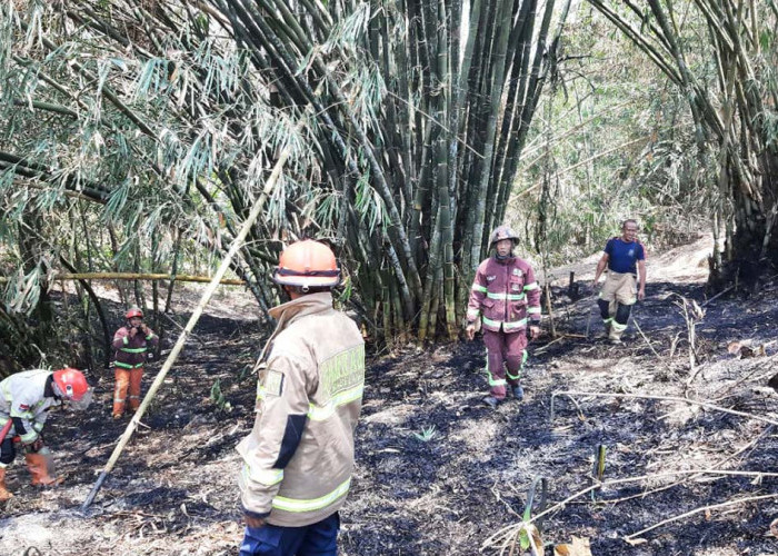 Dua Kebakaran Terjadi di Secang Magelang, Lagi-lagi Dipicu Warga Bakar Sampah