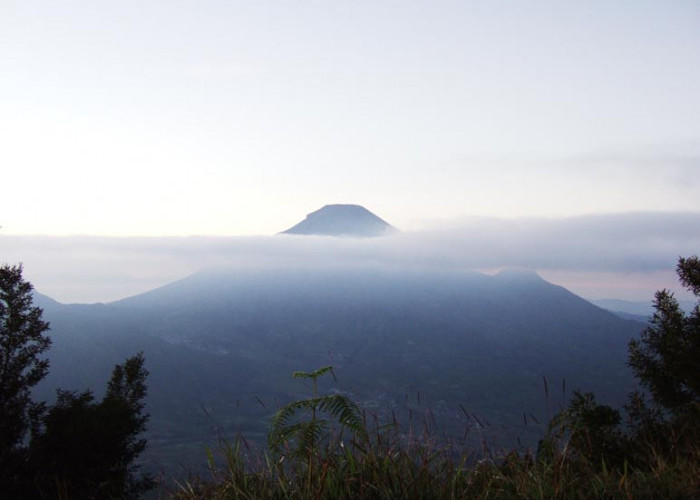 BPBD Wonosobo Ketar Ketir, 5.000 Orang Naik Gunung di Tengah Cuaca Buruk