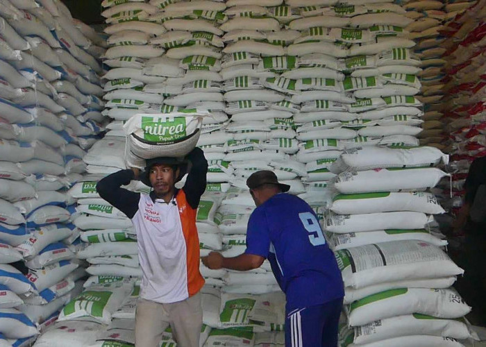 Pemkab Temanggung Dapat Alokasi 23.881 Ton Pupuk Bersubsidi 2026, Ini Rinciannya dan HET Terbaru