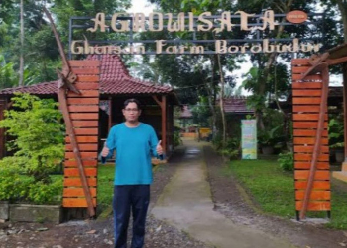 Bermain dan Belajar di Agrowisata Ghaisan Borobudur Magelang, dari Petik Jambu hingga Bisa Beri Makan Kelinci!
